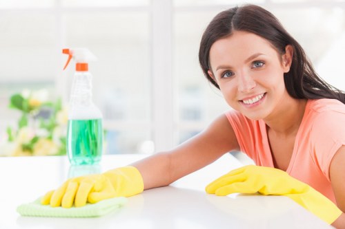 Professional carpet cleaning in a modern living room