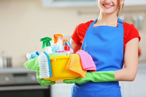 Professional rug cleaning process in a bright home setting