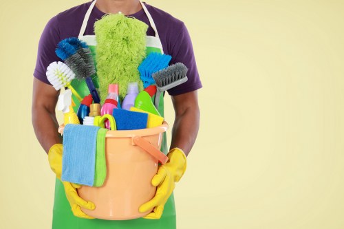 Home carpet cleaning equipment in use on a rug