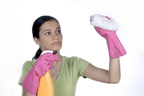 Common stain removal products and cleaning supplies