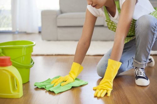 Professional pet odour removal tools and cleaning supplies